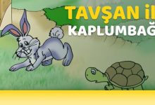 kaplumbağa ile tavşanın hikayesi, kaplumbaga ile tavsanın hikayesi kısa, kaplumbağa ile tavşan hikayesinin konusu nedir, kaplumbağa ile tavşan hikayesi özeti, kaplumbağa ile tavşan hikayesi resimli, kaplumbağa ile tavşan hikayesinin ana fikri, kaplumbağa ile tavşan hikayesi slayt, kaplumbağa ile tavşan hikayesi ekşi, kaplumbağa ile tavşan hikayeleri, bir kaplumbağa ile tavşan hikayesi, masallar, masallar oku, masallardan geriye kalan, masalları, masallara inan, masalların özellikleri, masallar diyarı, masallarda kullanılan tekerlemeler, masallar dinle, masallardan geriye kalan izle