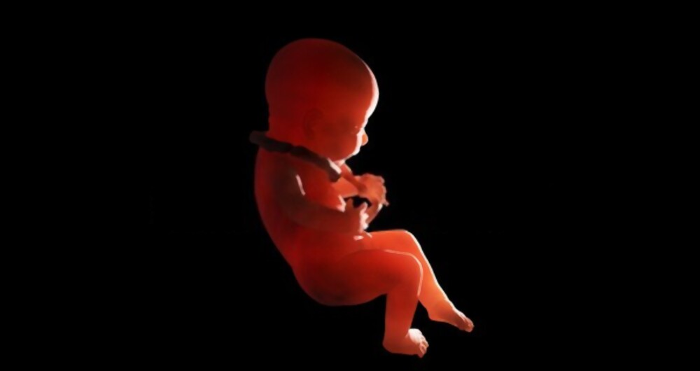 kordon dolanması nedir, kordon dolanması, kordon dolanması neden olur, kordon dolanması nedir, kordon dolanması nasıl olur, kordon dolanması önlemek için, kordon dolanması normal doğuma engel mi, kordon dolanması yaşayanlar, kordon dolanması hangi ayda olur, kordon dolanması zararları, kordon dolanması kadınlar kulübü