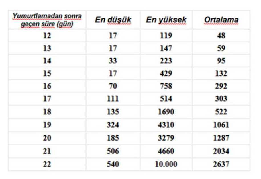 9 Soruda Dış Gebelikle İlgili Tüm Bilinmeyenler