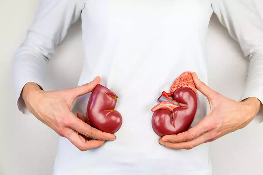 Gebelikte İdrarda Protein Kaçağı Neden Olur?