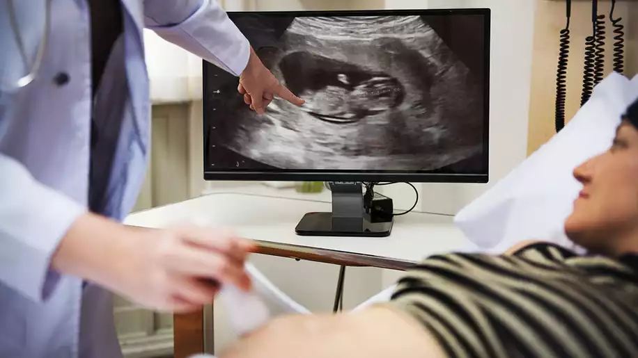 Nub Teorisi Nedir? Nub Teorisine Göre Cinsiyet Tahmini
