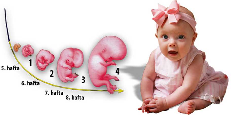 İleri Yaş Gebeliğinde Genetik Tanı İçin Bu Test Öneriliyor