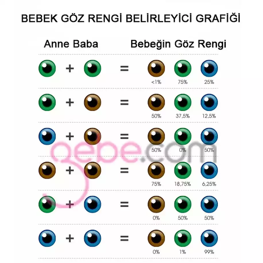 Bebeğiniz Doğmadan Göz Rengini Tahmin Edin!