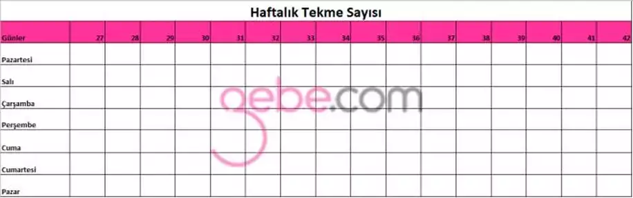 Anne Karnındaki Bebeğin İyi Olduğu Nasıl Anlaşılır?
