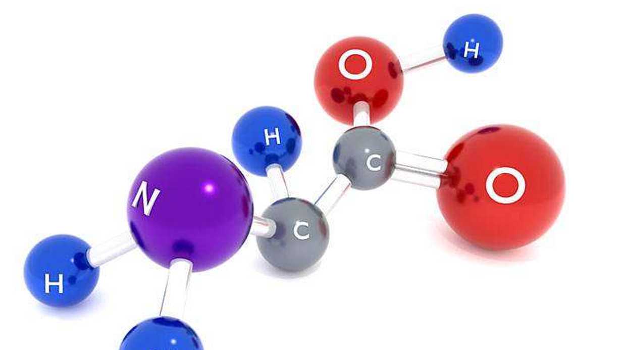 Amino Asitler Nedir?