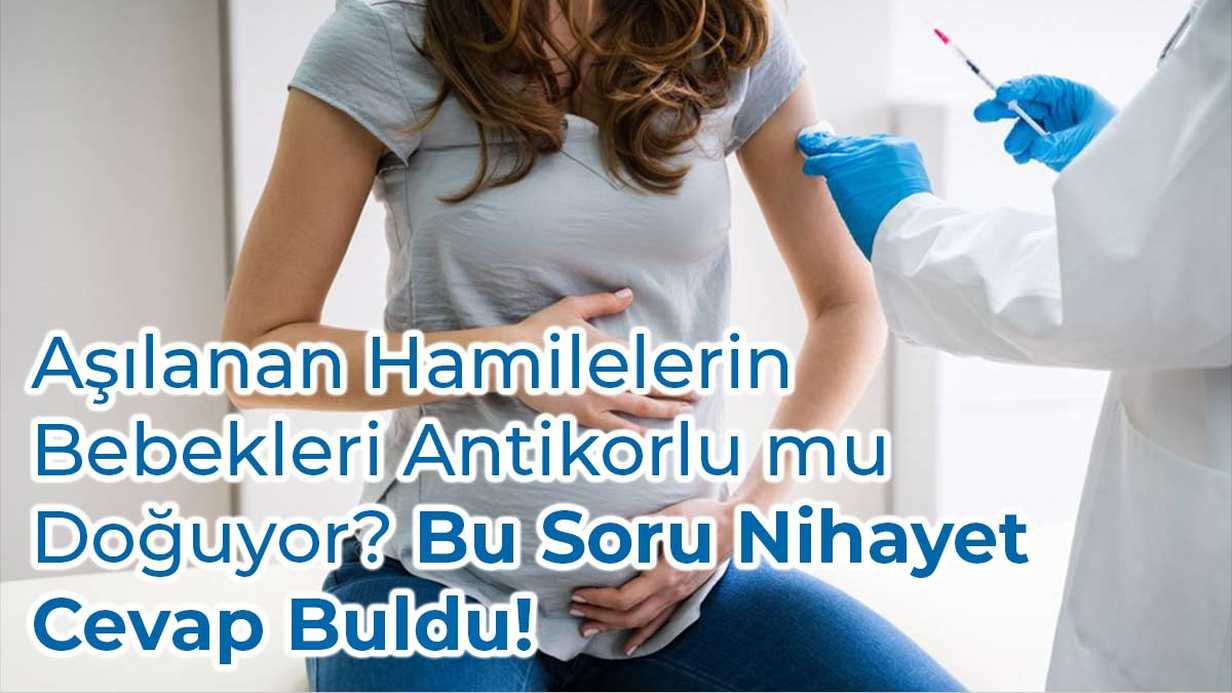 Aşılanan Hamilelerin Bebekleri Antikorlu mu Doğuyor?