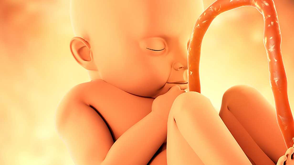 İleri Yaş Gebeliğinde Genetik Tanı İçin Bu Test Öneriliyor