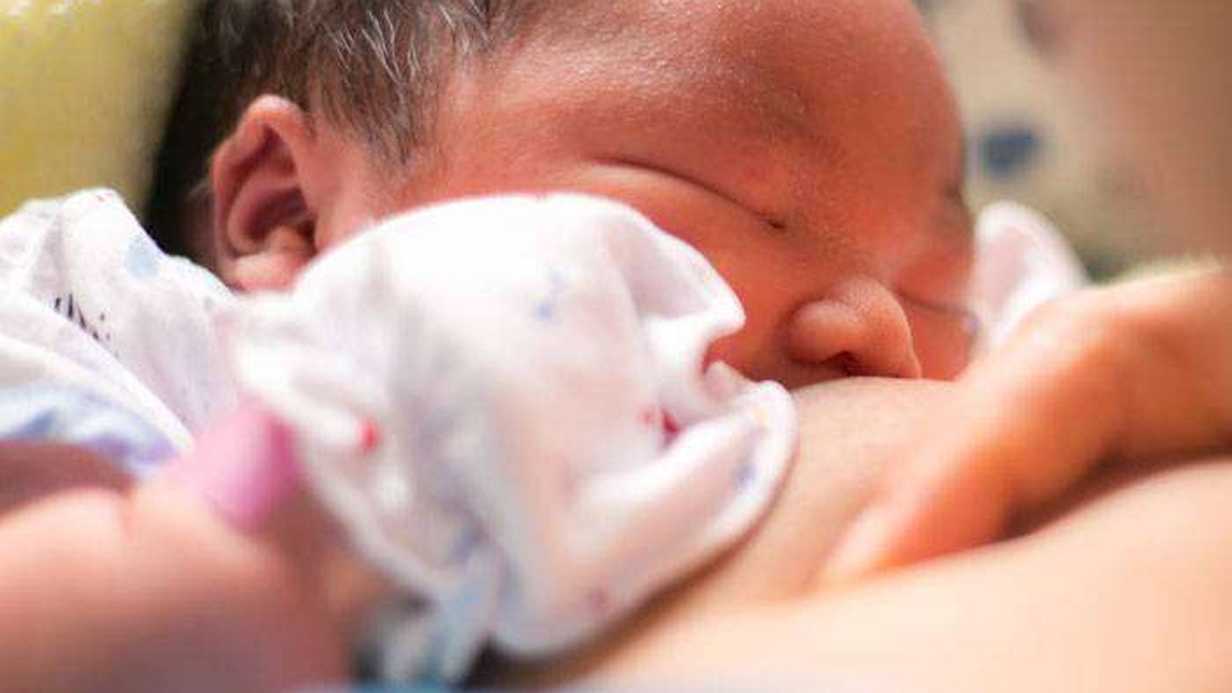 Kolostrum Nedir?