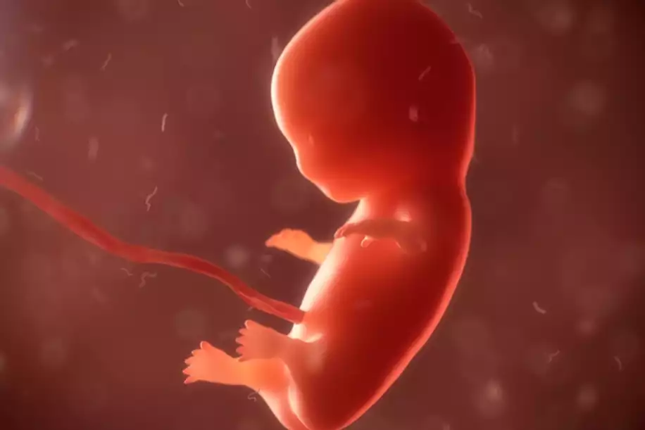 Kimyasal Gebelik Sonrası Hamilelik