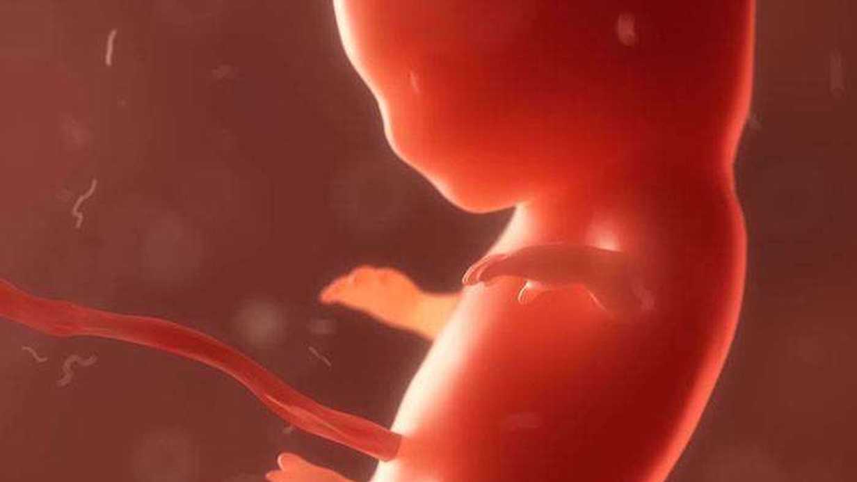 Amniyon Sıvısı Nedir?