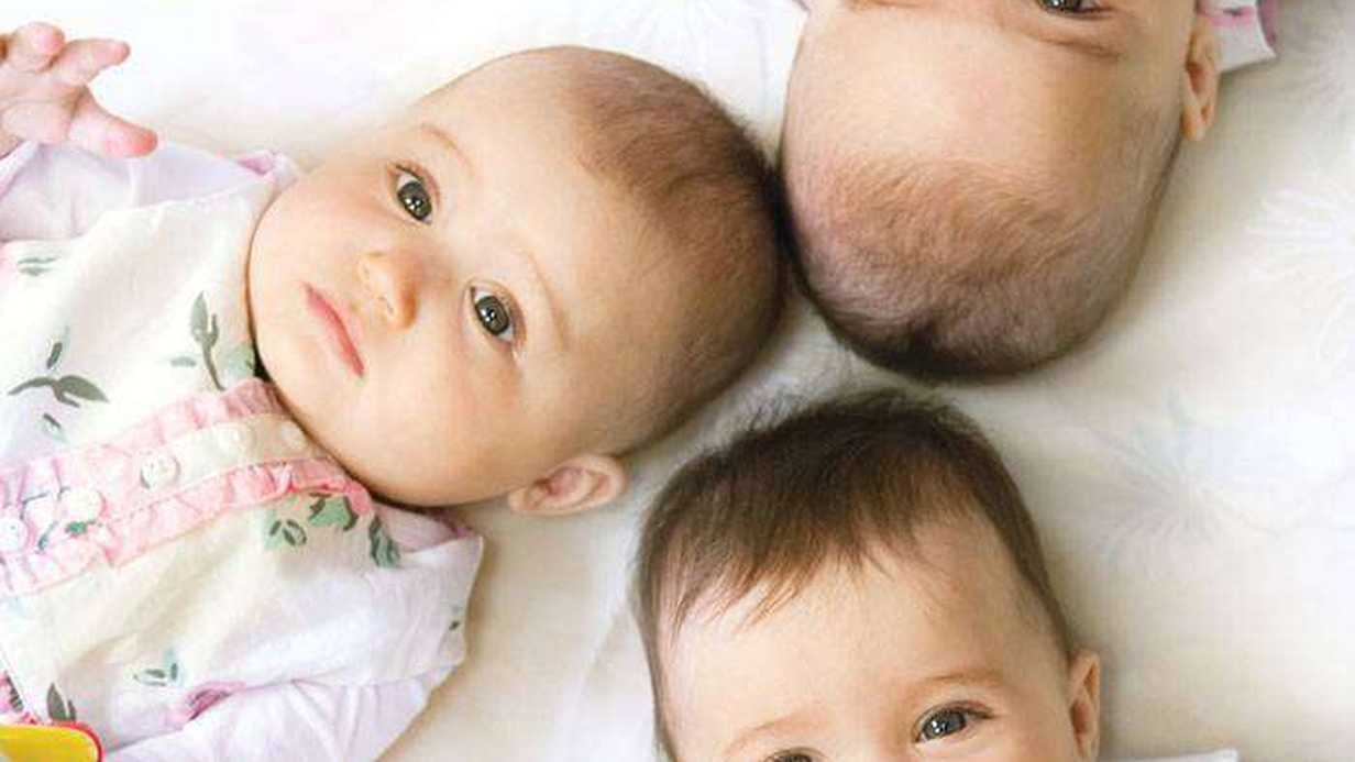 Çoğul Gebelik Hakkında Tüm Bilmeniz Gerekenler
