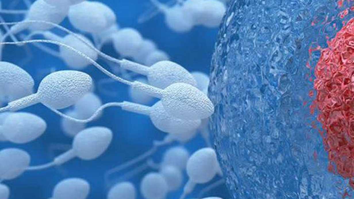 Erkeklerin Uyku Süresi Üreme Şansını Etkiliyor