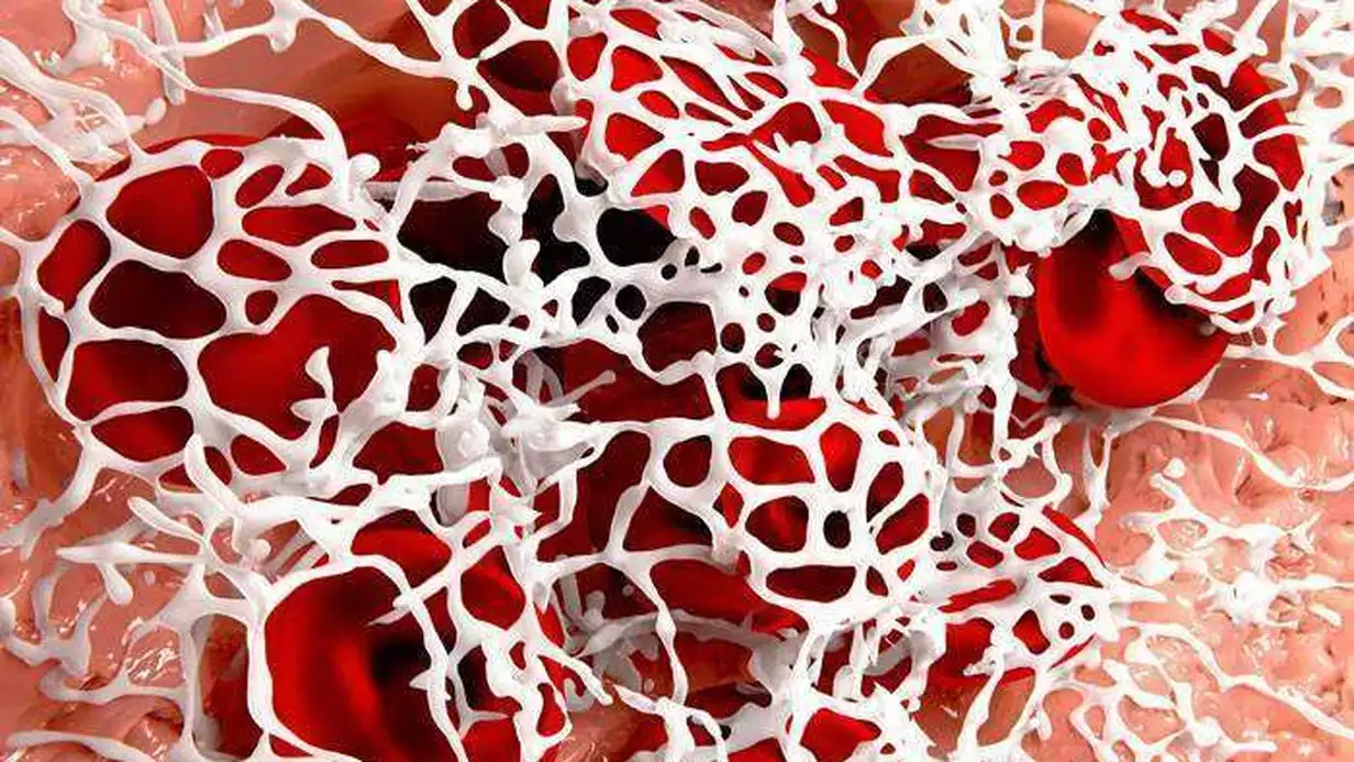 Fibrin Nedir?