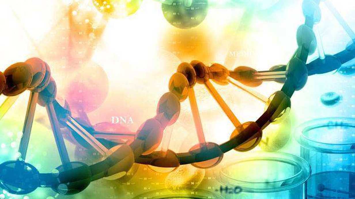 Genetik Testler Nedir?