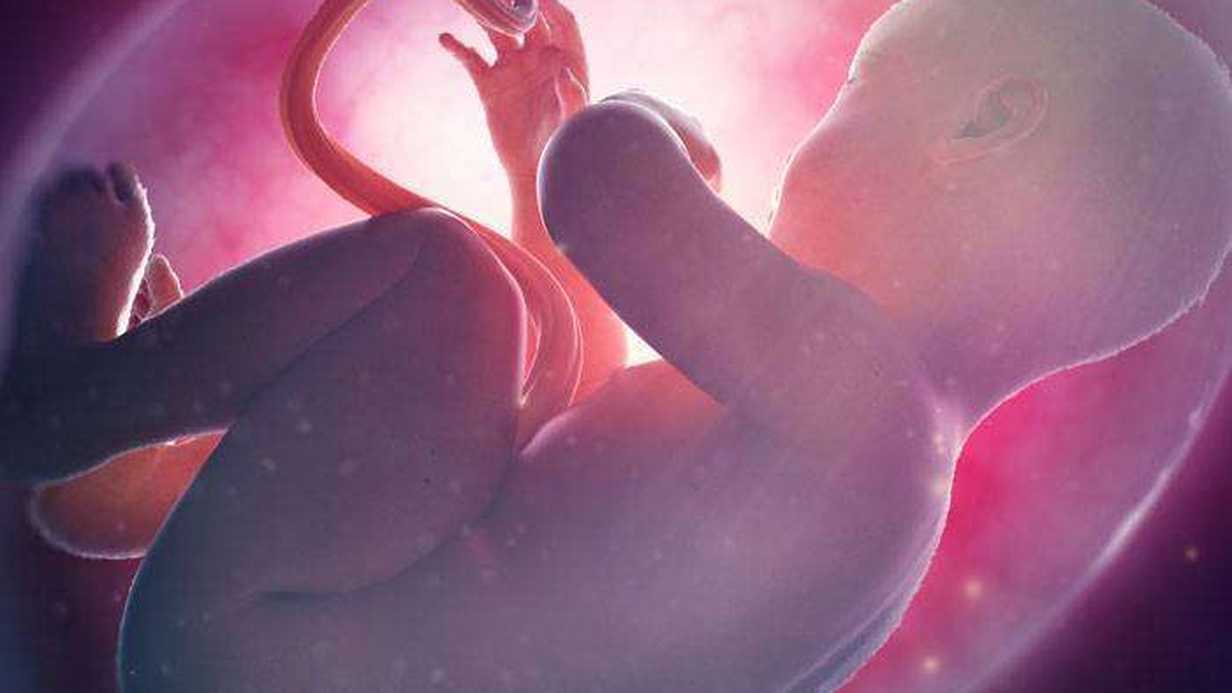 Oligohidramnios Nedir?