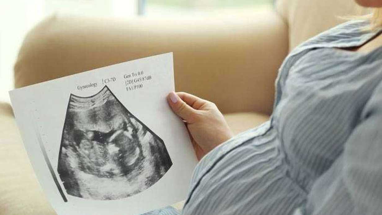 Prezentasyon Nedir?