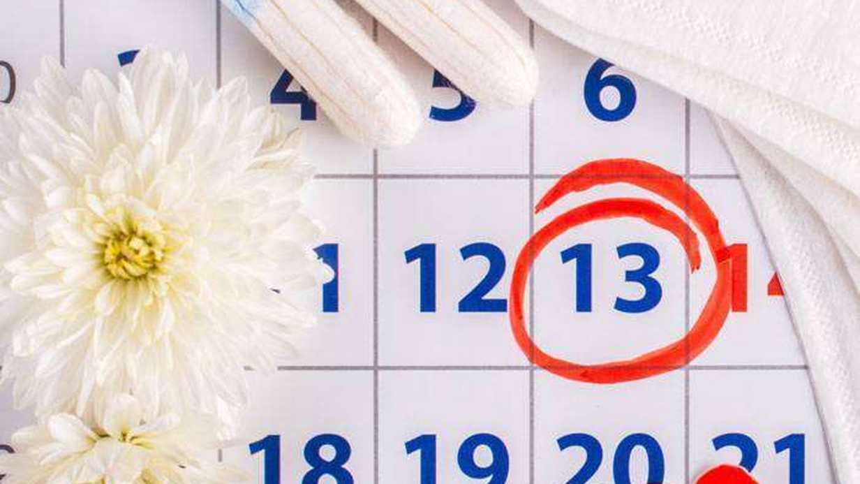 Siklüs Nedir?
