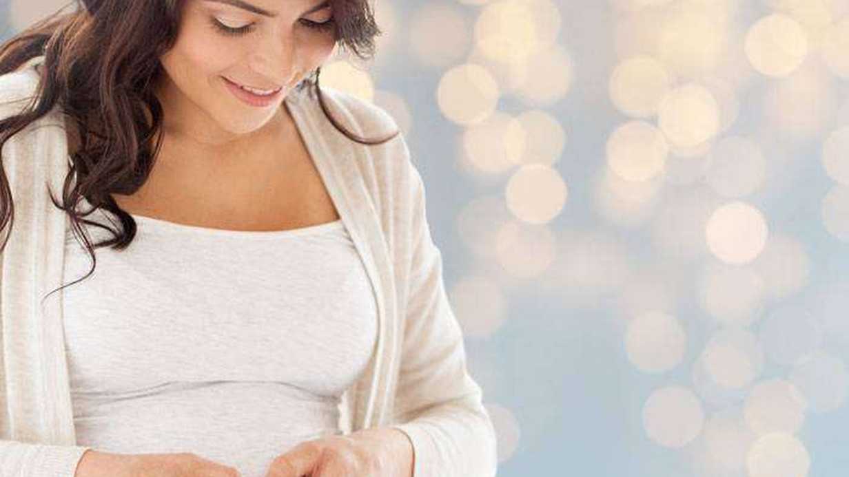 Trimester Nedir?