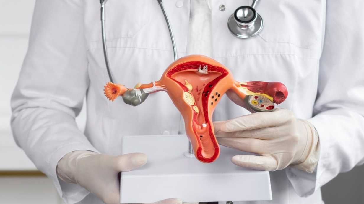 Hamilelikte Smear Testi Yapılabilir mi?