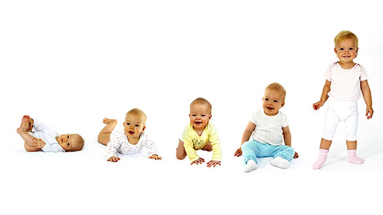 Büyümenin İzlenmesi Nasıl Yapılır?