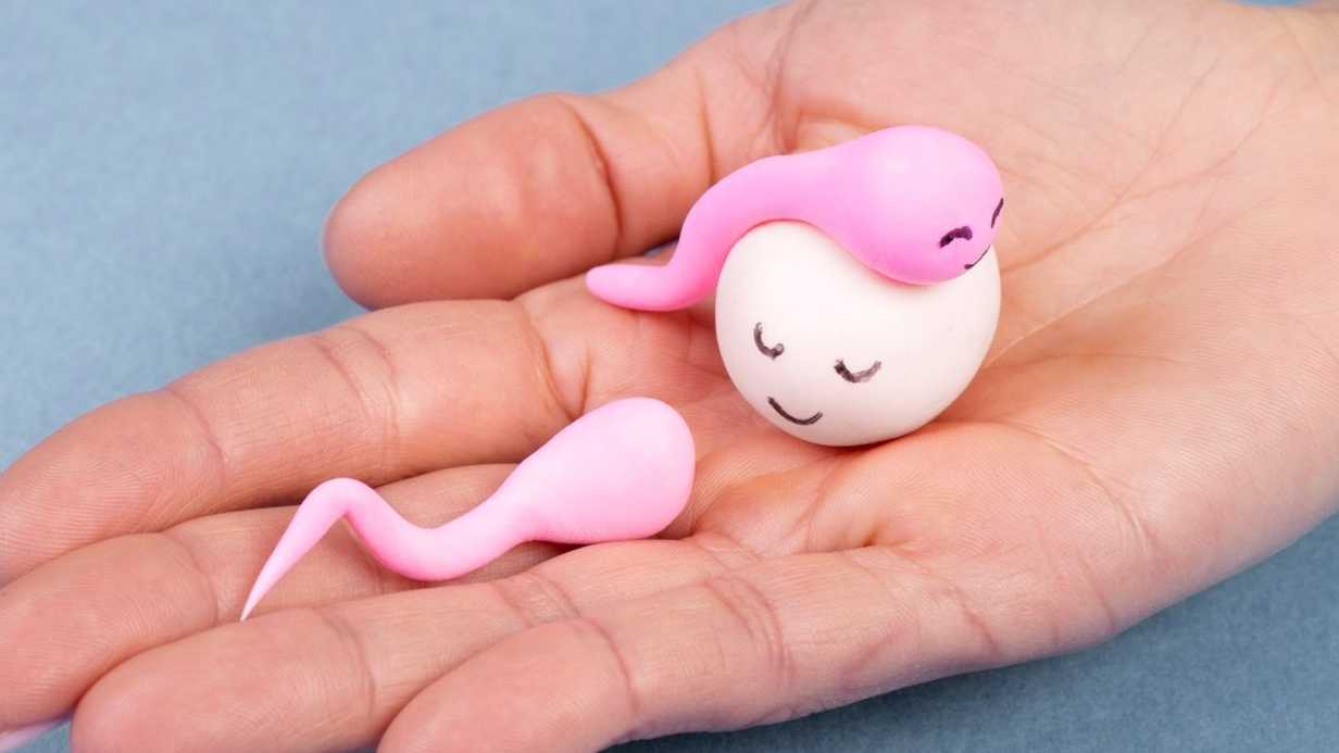 Bir Damla Sperm ile Hamile Kalınır mı?
