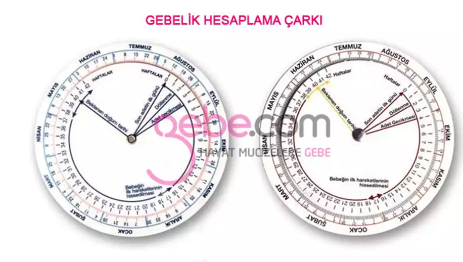 Kaç Haftalık Hamileyim? Gebelik Haftası Hesaplama
