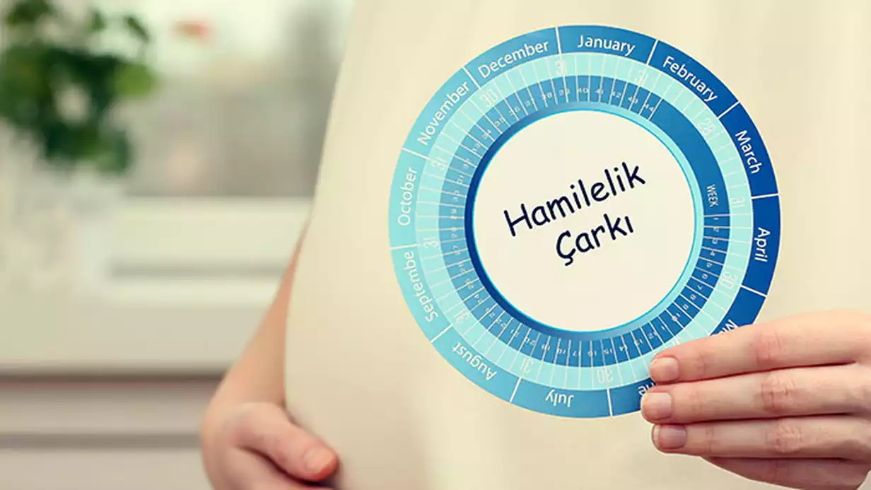 Kaç Haftalık Hamileyim? Gebelik Haftası Hesaplama