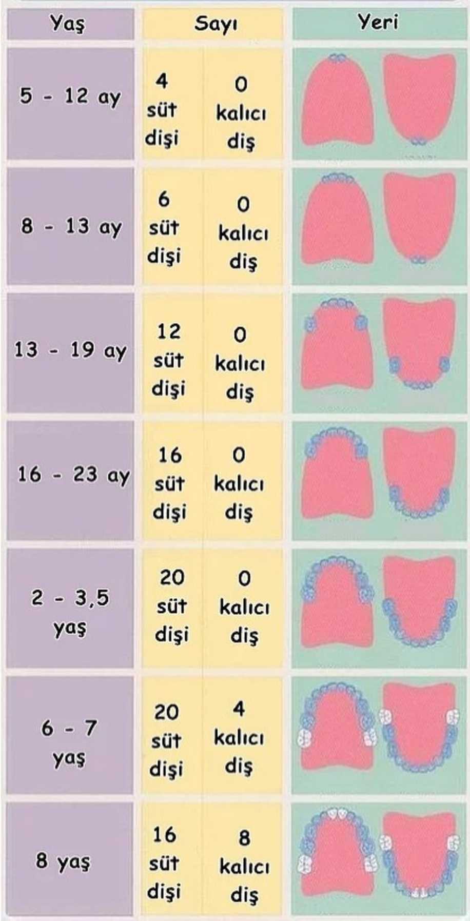 Anne Babaların Hayatlarını Kolaylaştıracak 17 Pratik Bilgi