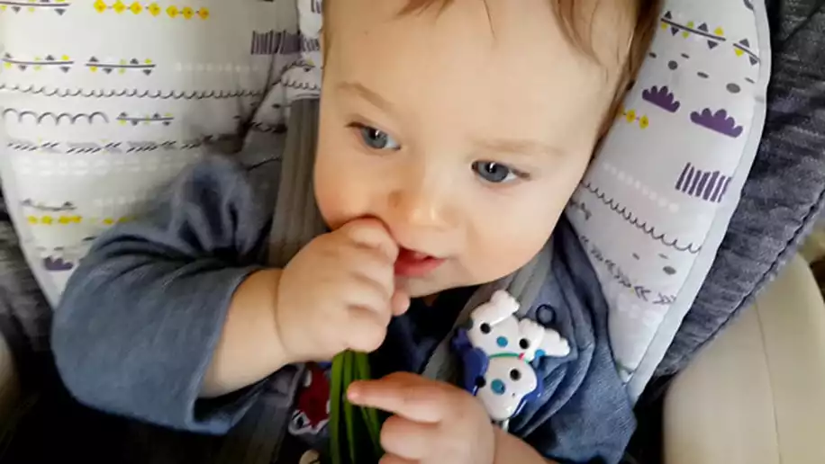 Bu Belirtiler Varsa Diş Çıkarma Süreci Başlamış Demektir