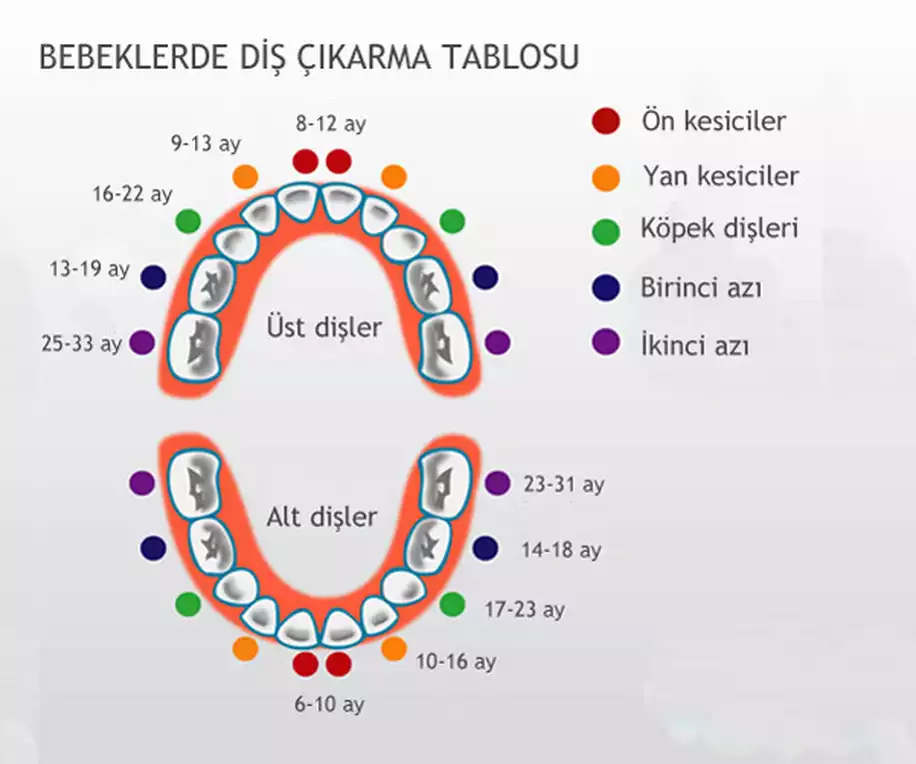 Bu Belirtiler Varsa Diş Çıkarma Süreci Başlamış Demektir