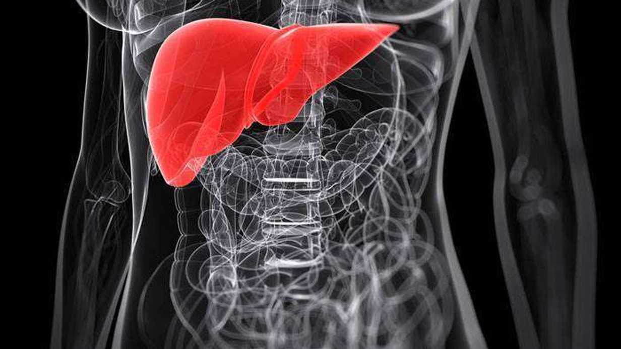 Bilirubin Nedir?