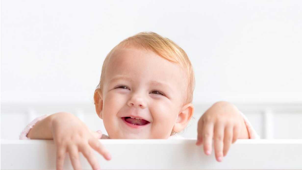 Kürtçe İsimler ve Anlamları! Kürtçe Bebek İsmi Önerileri