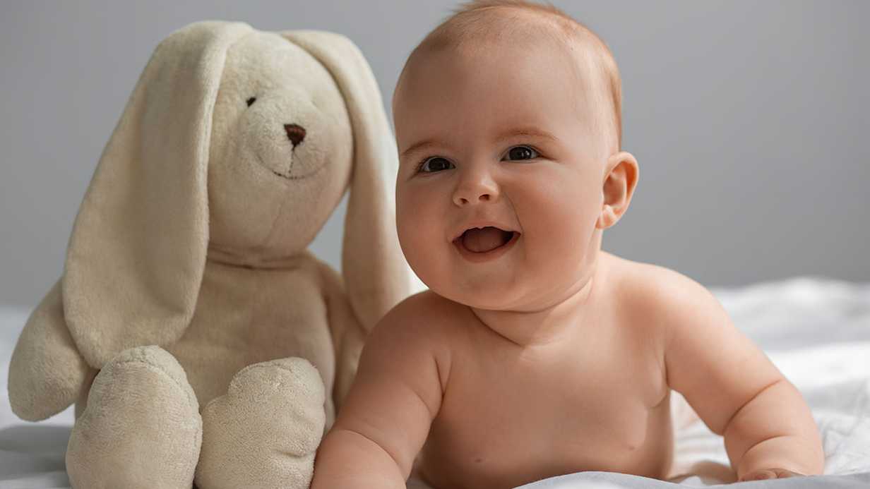 Talha İsminin Anlamı ve Kökeni Nedir? Kuran'da Geçiyor mu?